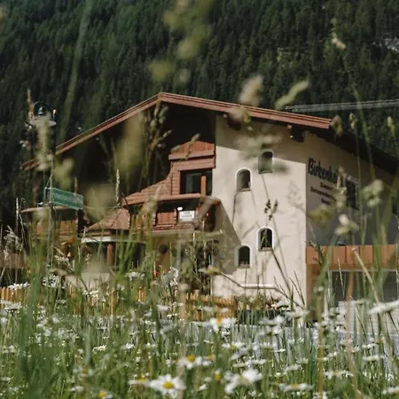 Birkenheim Apartament St. Leonhard im Pitztal